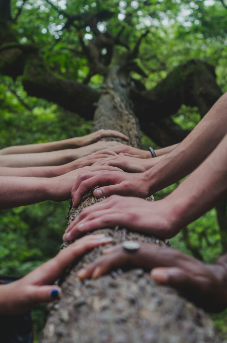 Die Kraft der Gemeinschaft bei Multipler Sklerose